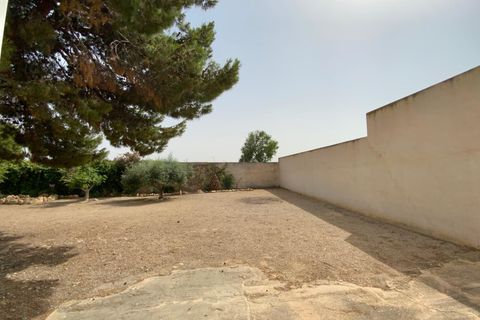 Finca i Torre Pacheco, Murcia, Torre Pacheco - € 298.000 | Ref: V498TM - foto 8